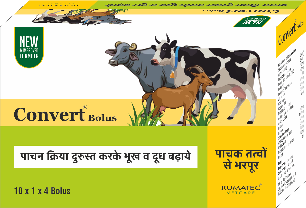 CONVERT BOLUS